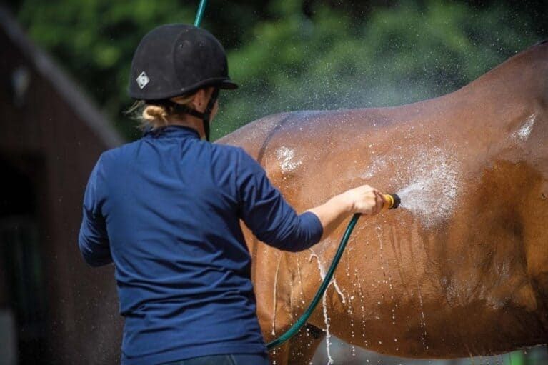 Cavalier rafraîchissant un cheval de sport au jet d’eau