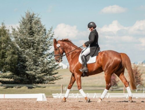 Cavalier en tenue de dressage montant un cheval alezan sur le plat