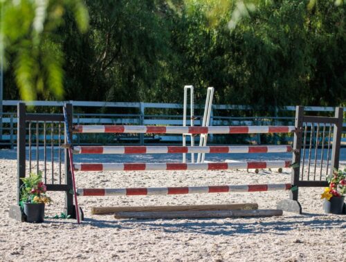 Obstacle d’équitation composé de barres rouges et blanches dans une carrière
