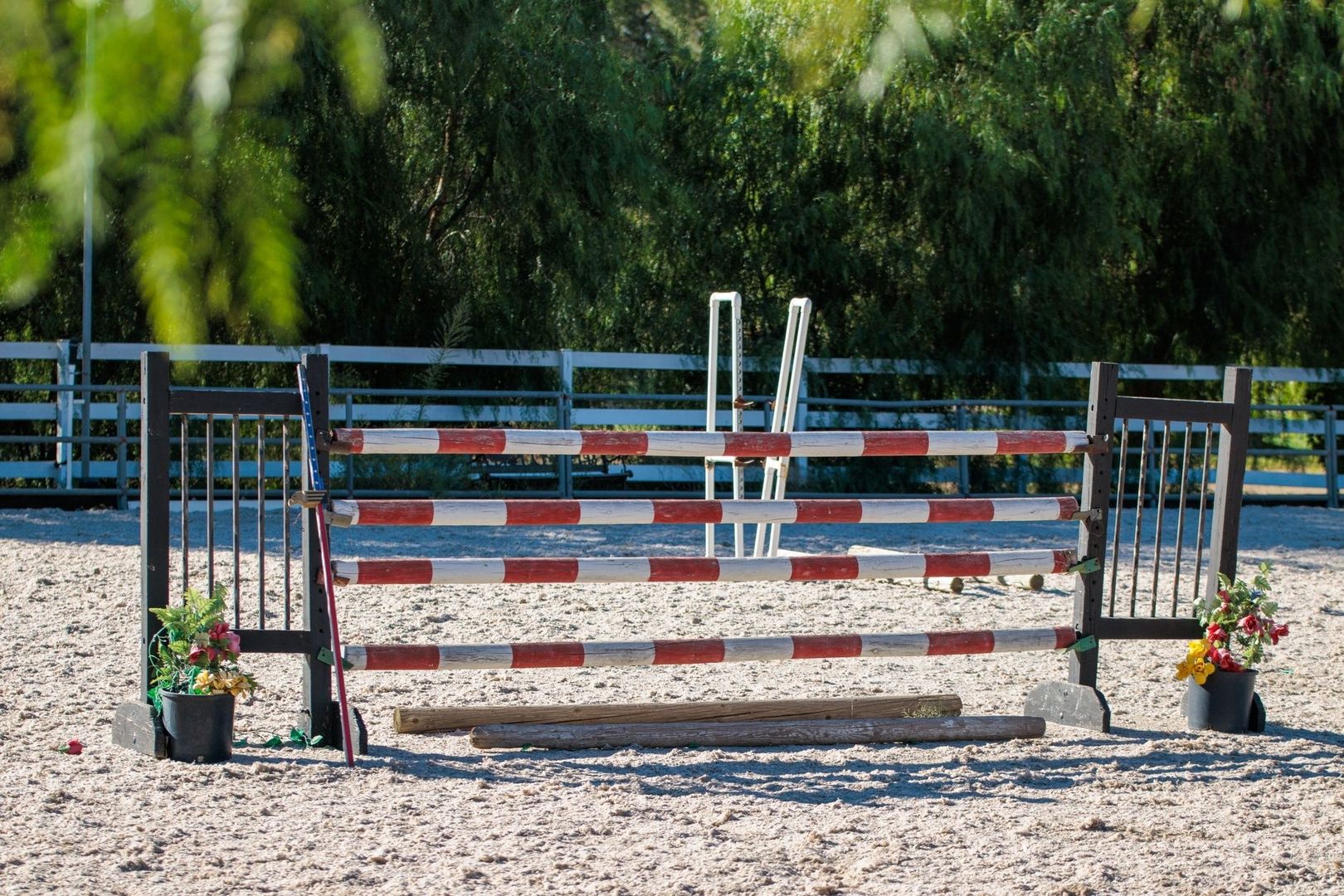 Obstacle de saut d